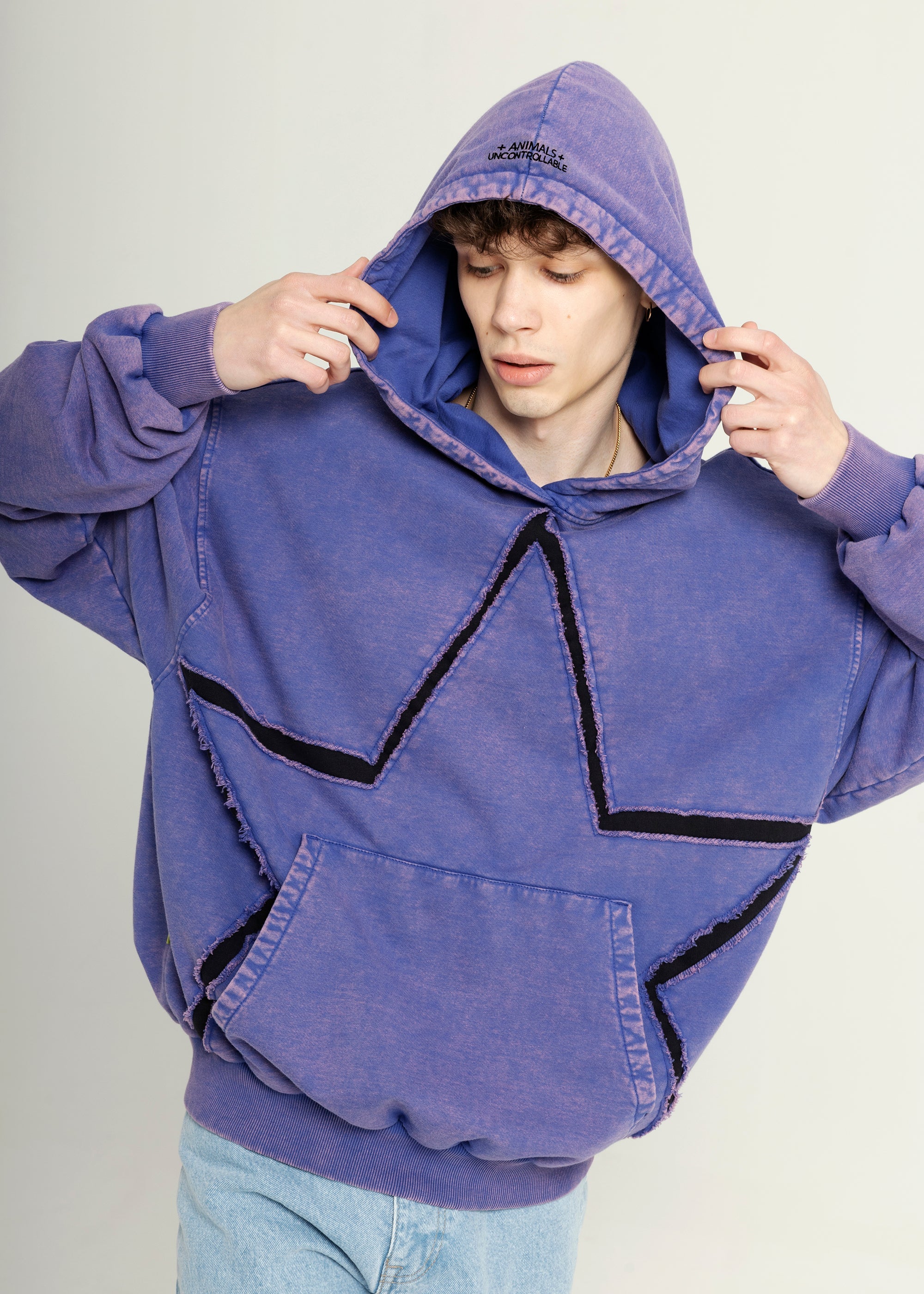 SAMPLE SUPERNOVA washed hoodie